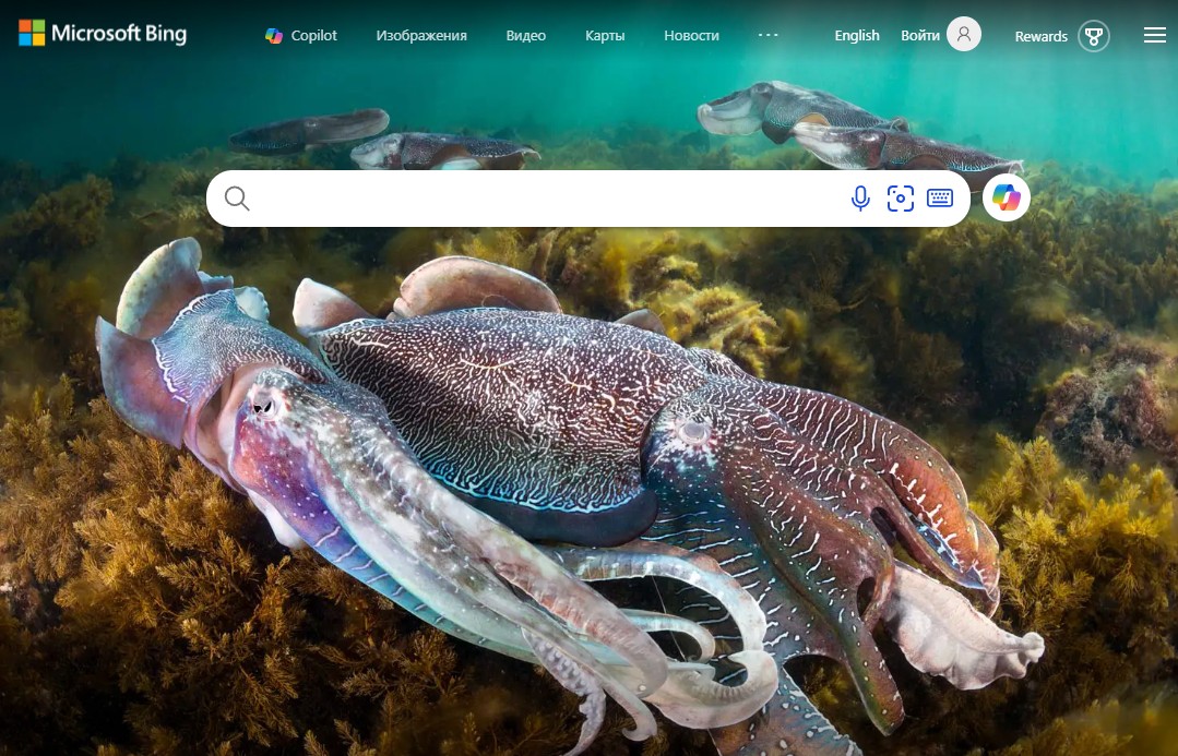 Скриншот сайта Поиск Bing